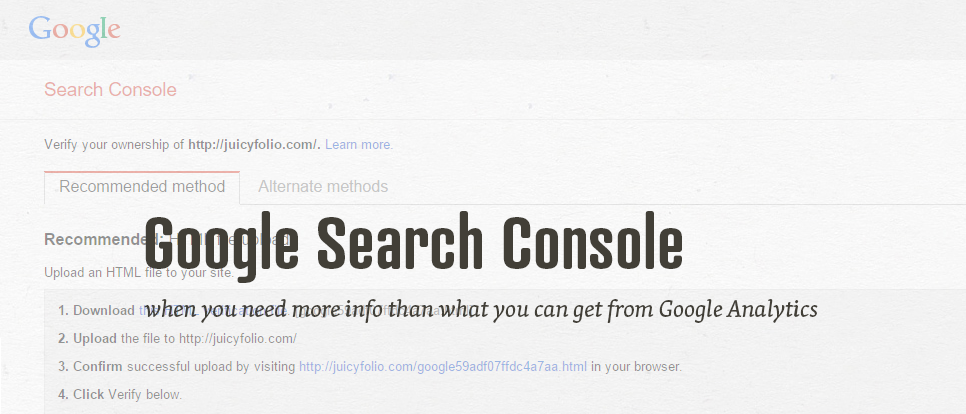 Google Search Console Setting for Better Visitors Survey